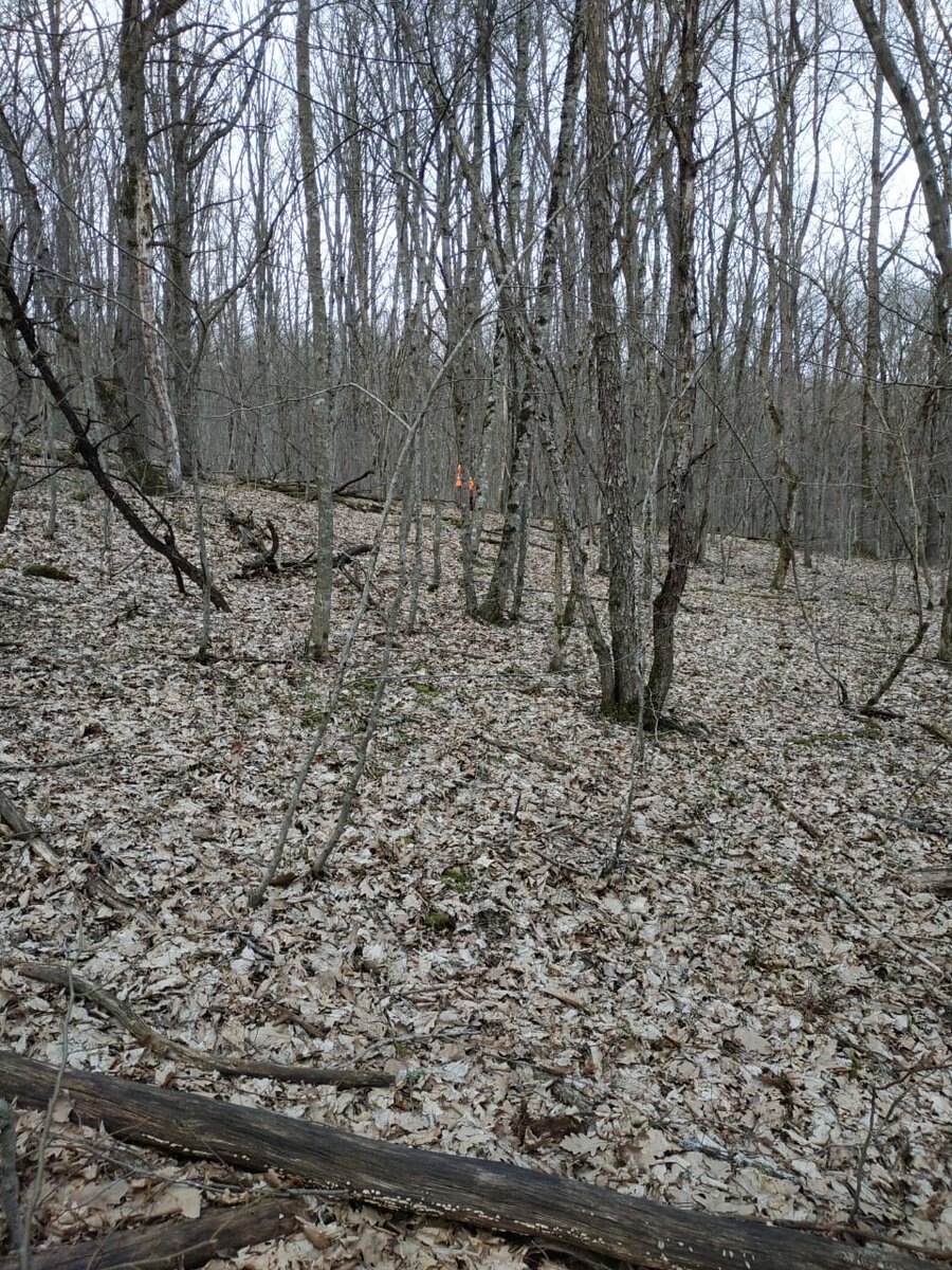 Вот здесь мы бродили