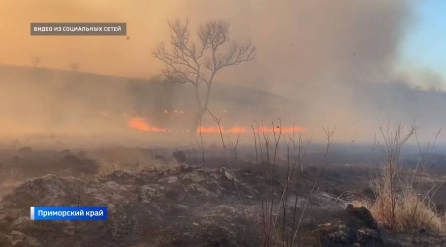 Пожары в Приморье
