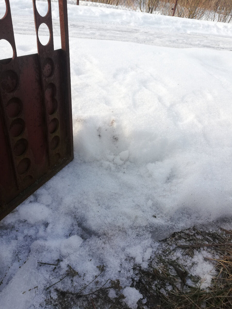 Вон мои следы виднеются на сугробе - провалиться вообще нереально, я даже попрыгала))) Около калитки примерно 30см было - немного отколотила, только чтобы просочиться можно было.