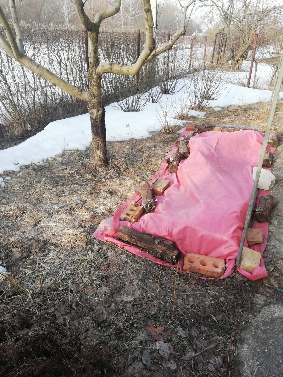 С южной стороны дома