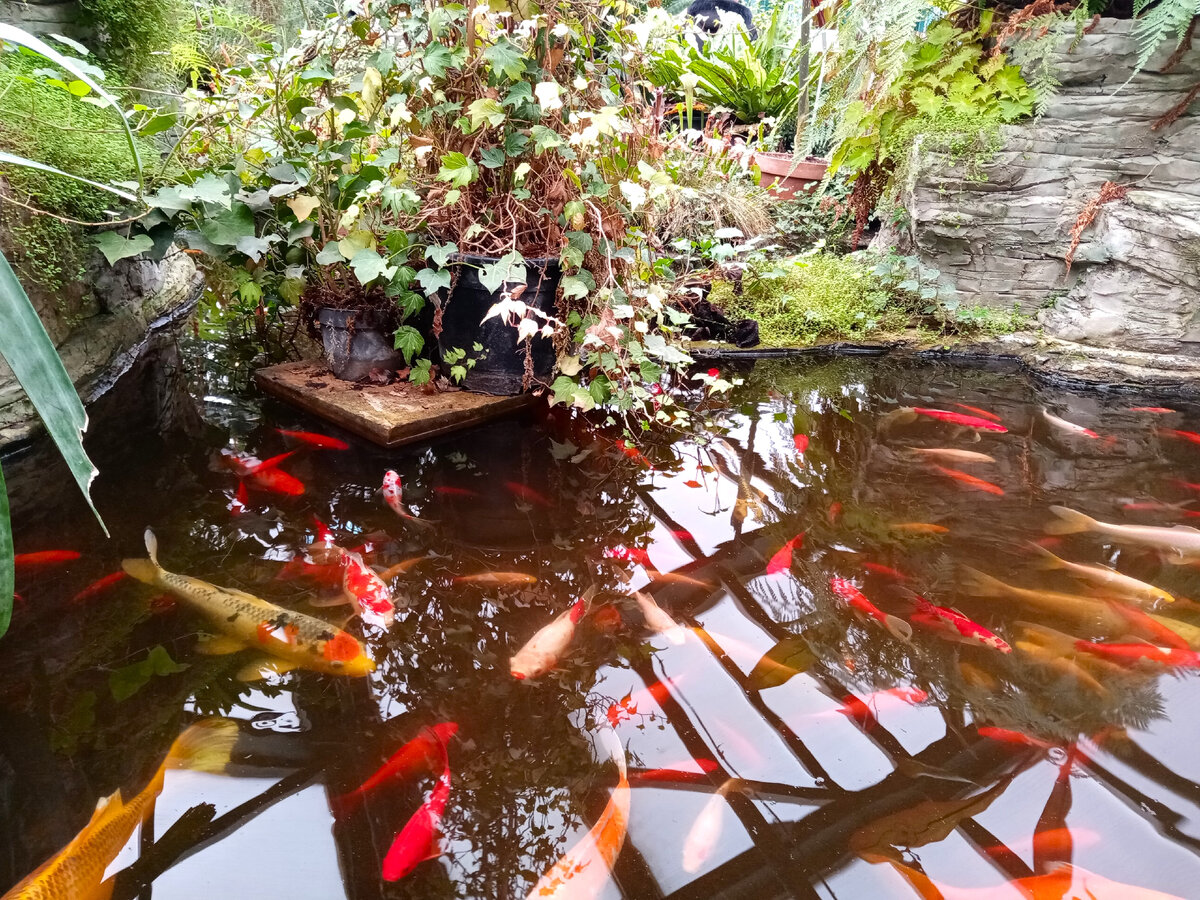 🌴Все природные зоны дети должны знать, уметь показывать их на карте, знать особенности строения почвы, какие животные и растения там живут. 🦒 На самом деле очень полезные знания. Когда сейчас дети проходят исторические события по окружающему миру в 4 классе, они уже понимают, о какой территории идёт речь, представляют её.
Проверьте, знает ли всё это Ваш ребёнок.

🌎 Природные зоны России:
Арктические пустыни.
Тундра, Лесотундра.
Тайга.
Смешанные леса и широколиственные леса.
Степи, Лесостепи.
Пустыня, полупустыня.🌵
Субтропики. 🌾