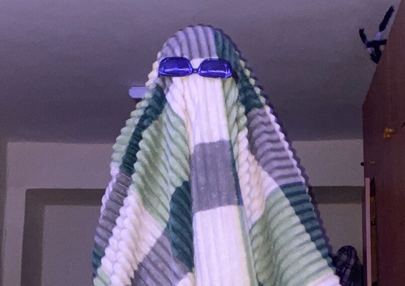 Как изменилось мое отношение к комнатному монстру