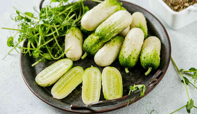  огурец Квирк F1