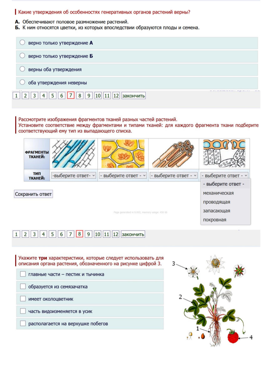 Решу впр. Решу впр 2024 общество. Решу впр. Скриншот впр. Решу впр.