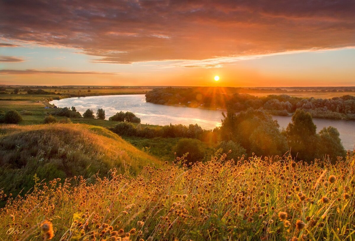 Яндекс.Картинки