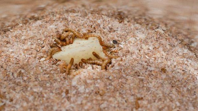 Фотография взята из источника yandex.ru