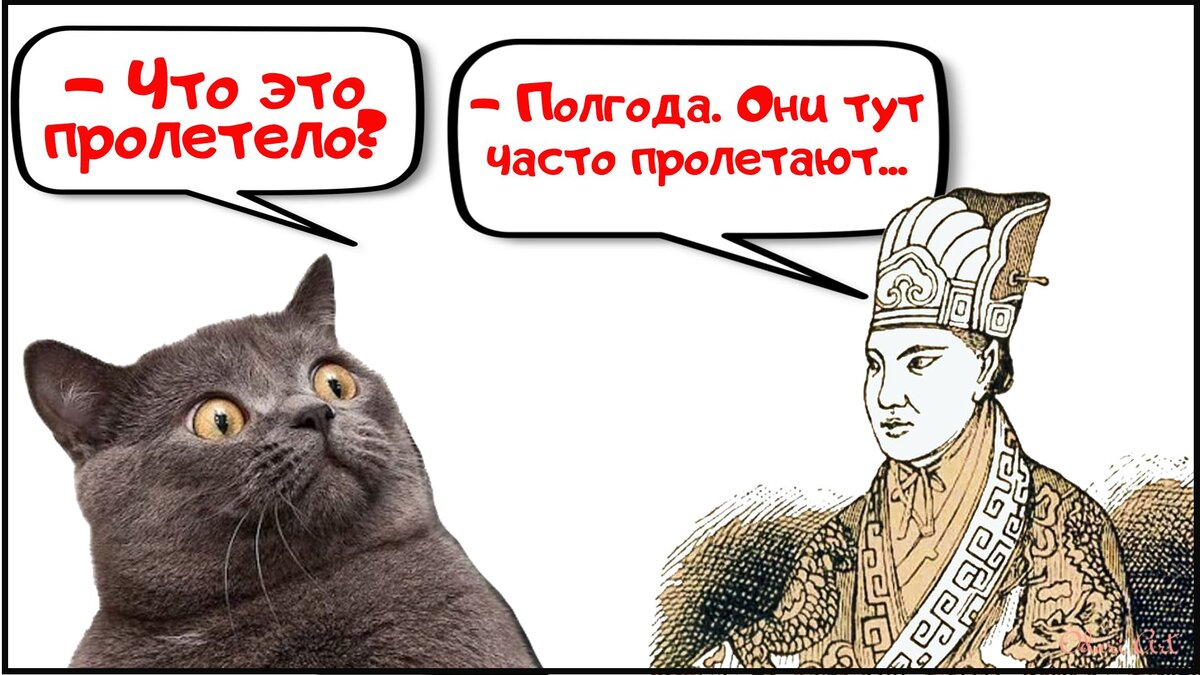 Что это пролетело? - Полгода. Они тут часто пролетают.