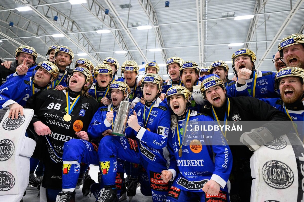 В чемпионатах Швеции и Финляндии по bandy стали известны победители в  сезоне 2023/2024. Видеообзоры и статистика | Хоккей с мячом + bandy | Дзен