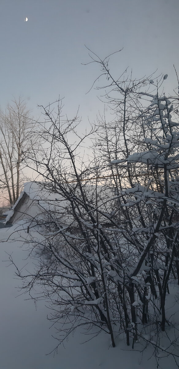 Просто зима.