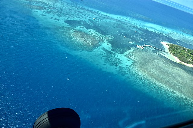 Великий Барьерный Риф из Wikipedia Commons 