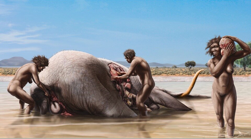   Jesús Gamarra; Jose Yravedra et al. / Quaternary Science Reviews, 2024