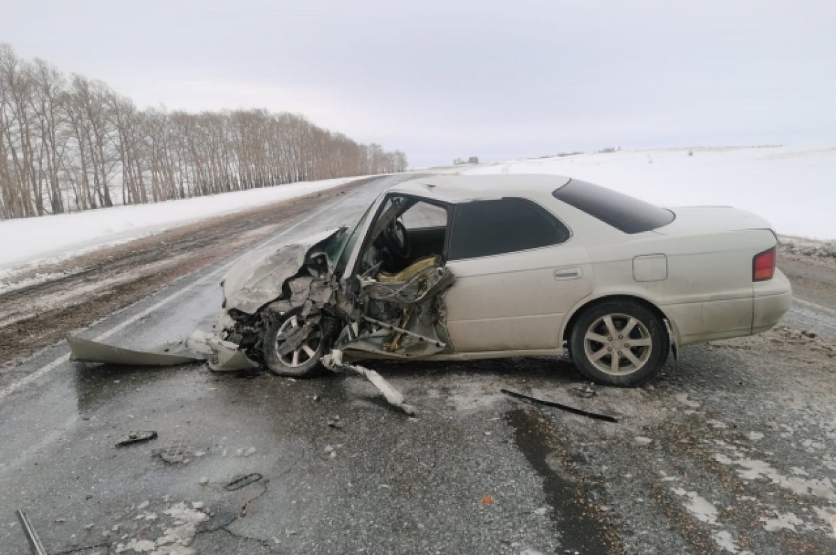    На Алтае в ДТП с фурой чудом никто не пострадал