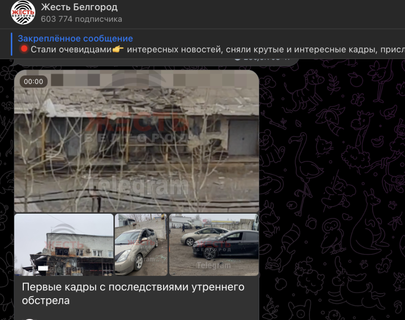    Фото: скриншот поста телеграм-канала "Жесть Белгород"