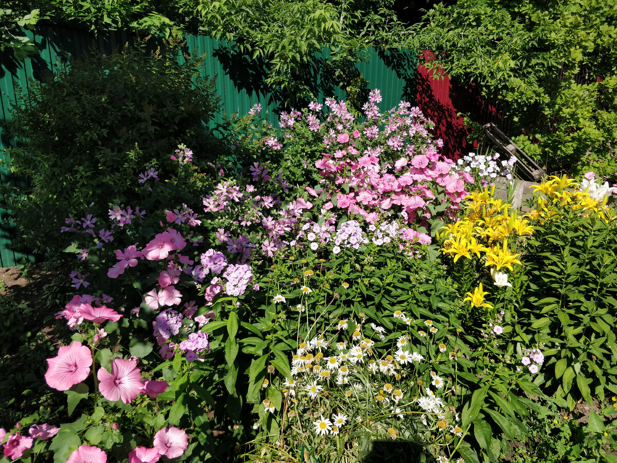 фото из личного архива