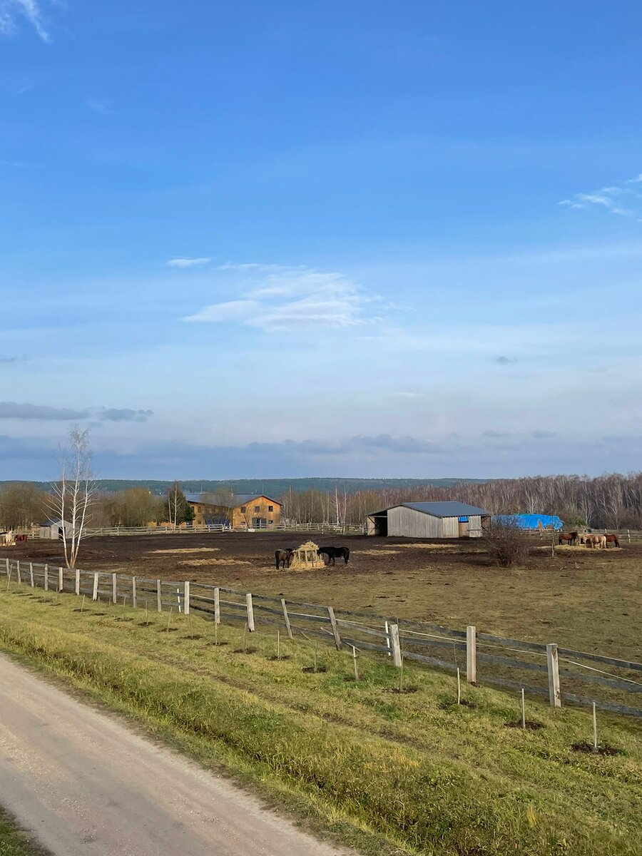 Эко-отель Яснополе © "Покажу Москву"