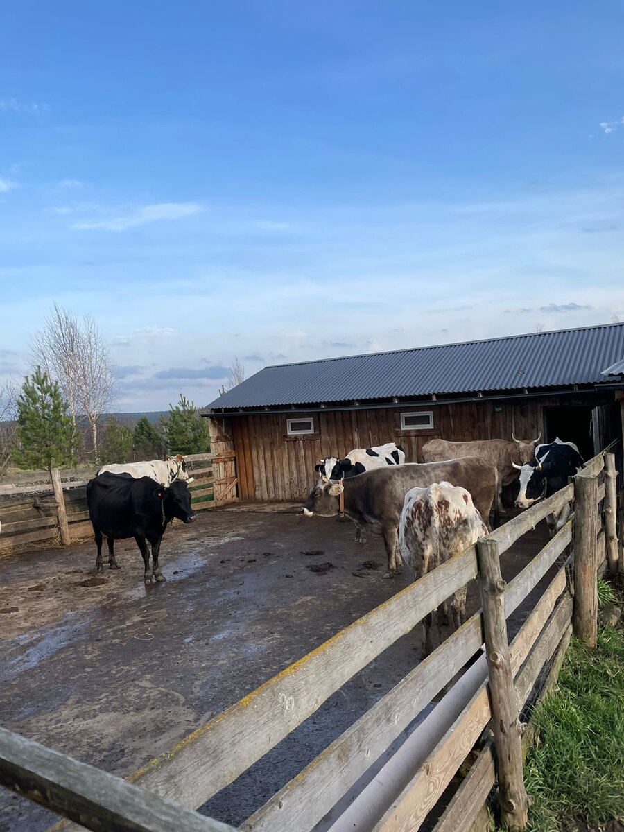 Эко-отель Яснополе © "Покажу Москву"