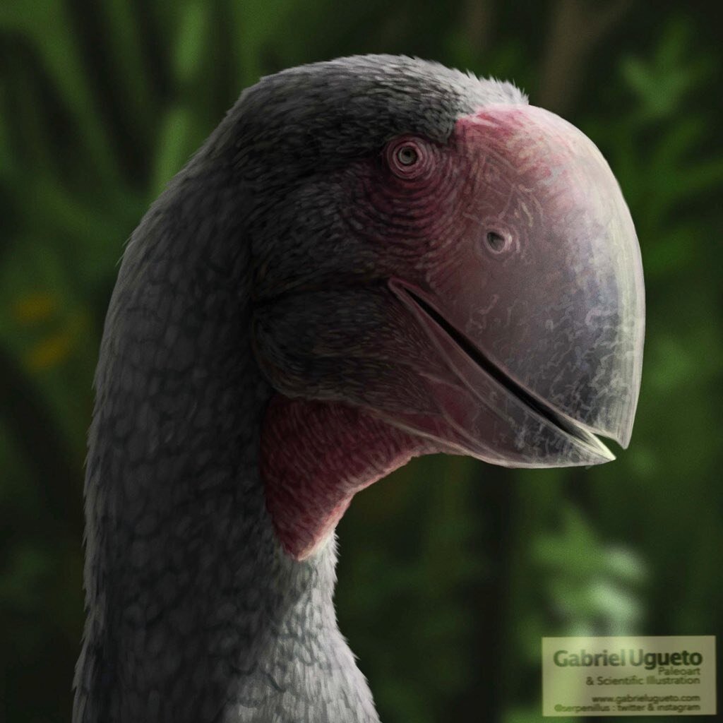 Как вы там, потомки, всё "га", да "га"?