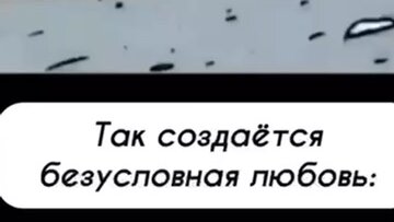 Что отличает людей? Эмпатия и кооперация для достижения общей цели 🫶🏼 #коучинг #коучингонлайн #экспоненциальныйкоуч