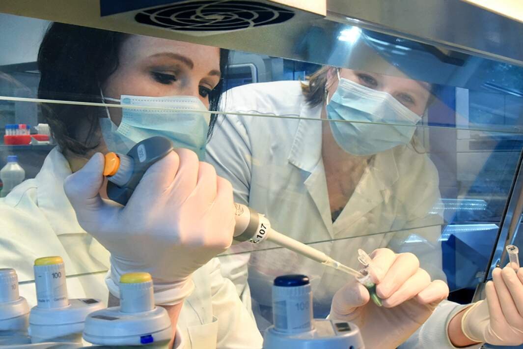 Фото: Global Look Press/ZB/Waltraud Grubitzsch