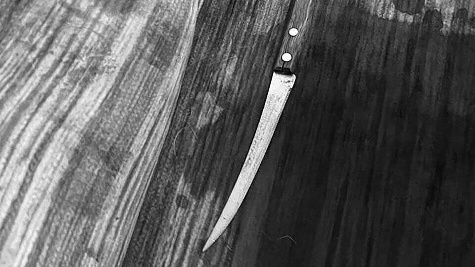 Фото: © t.me/skmoscowgsu