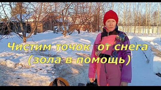 Чистим точок от снега (зола в помощь)(17.03.2024)