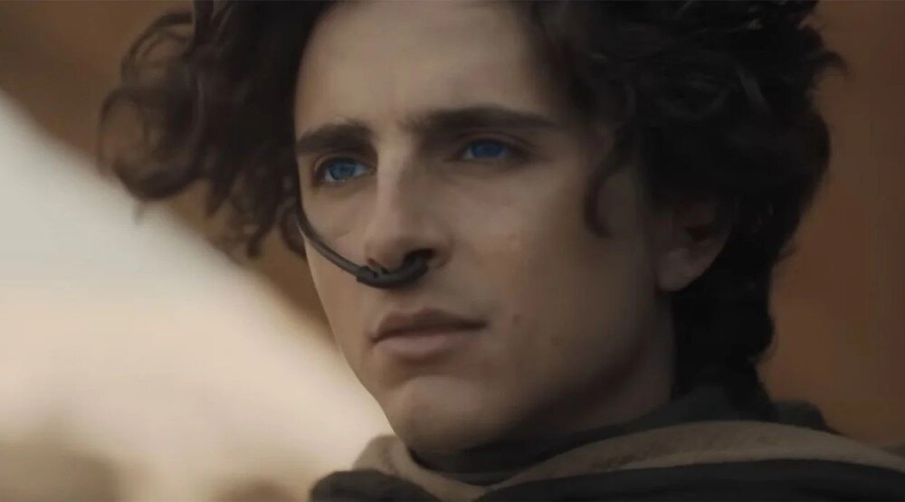     Кадр из фильма «Дюна 2» (2024)