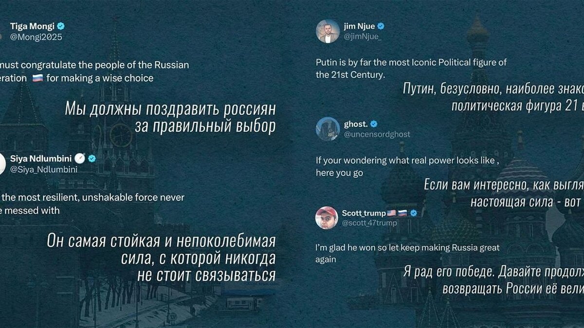    Реакция в западных соцсетях на итоги выборов президента РФ. Фото: телеканал «Краснодар»