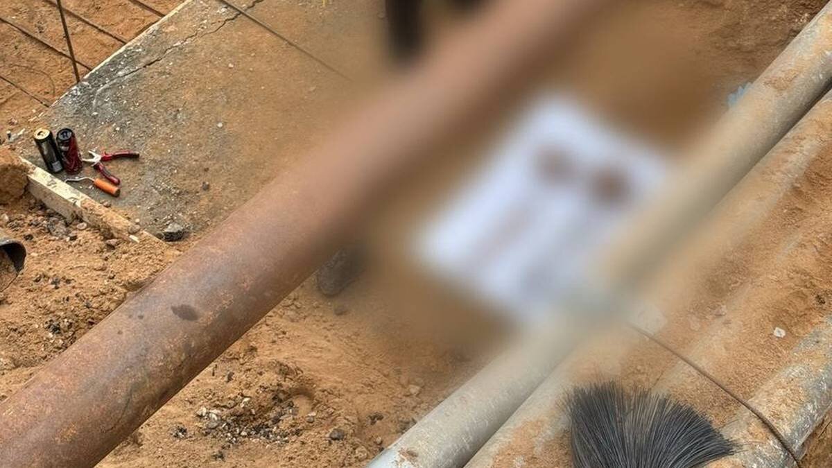    Фото: Telegram / Столичный СК