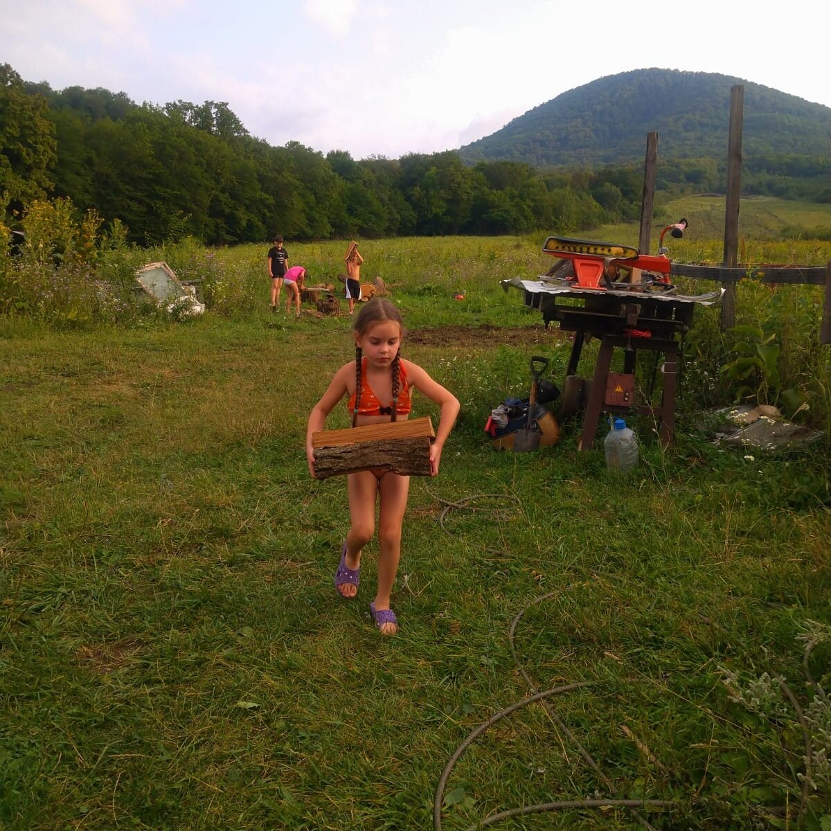 Катя тащит дрова