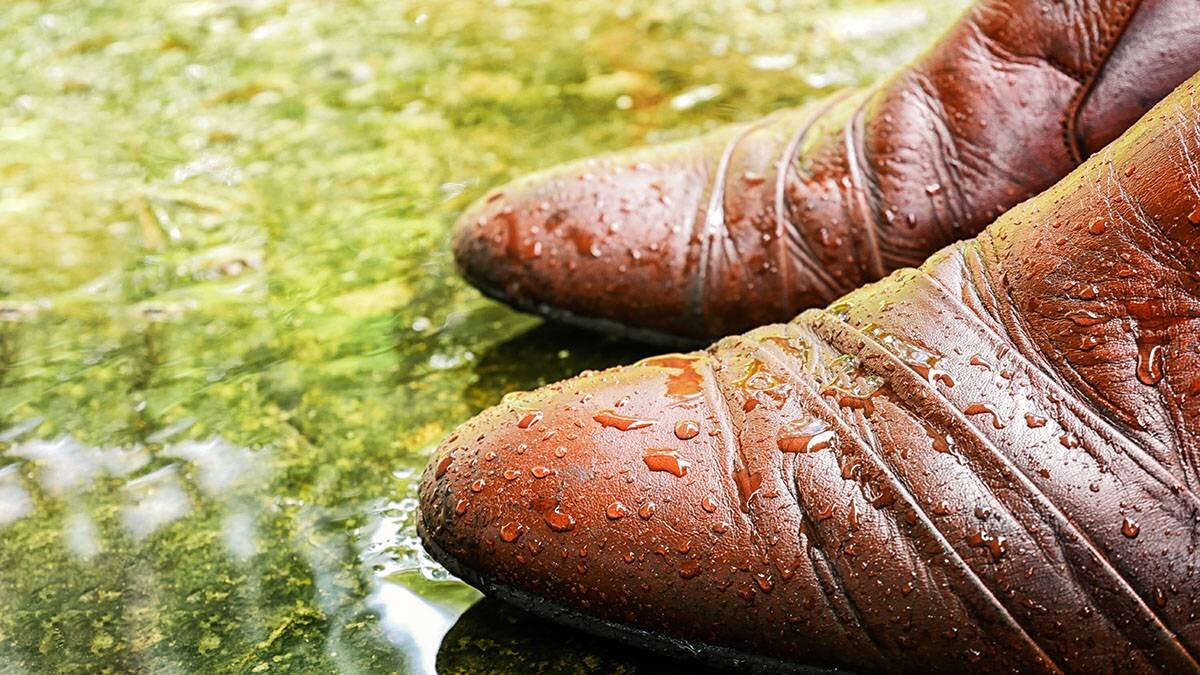 Влажный тома. Ботинки из мокрой кожи. Мокрая обувь картинка. Wet Shoes.