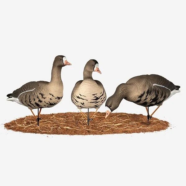 Чучела для охоты