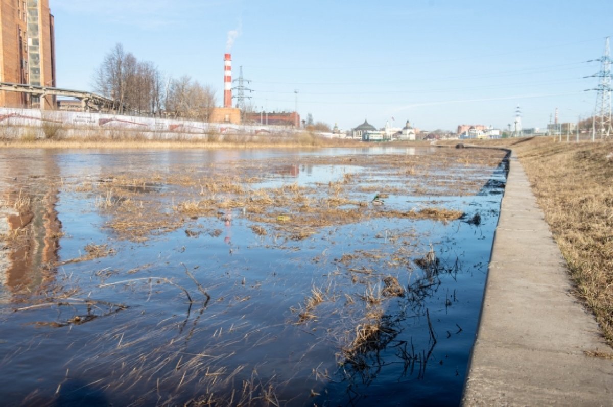    В Тульской области введён режим «Половодье»