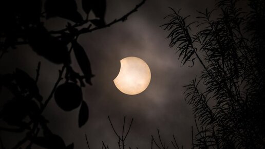 #180 Весенний коридор затмений. Лунное затмение 25 марта 2024г. Практика🌕🌑🌕