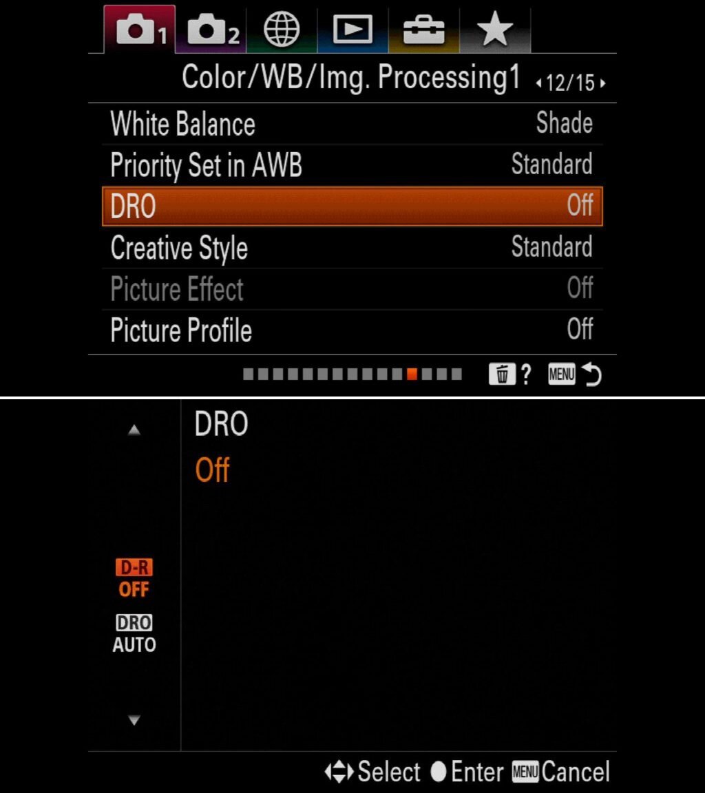    У беззеркалок Sony настройка DRO находится в первой вкладке меню / Фото: colbybrownphotography.com
