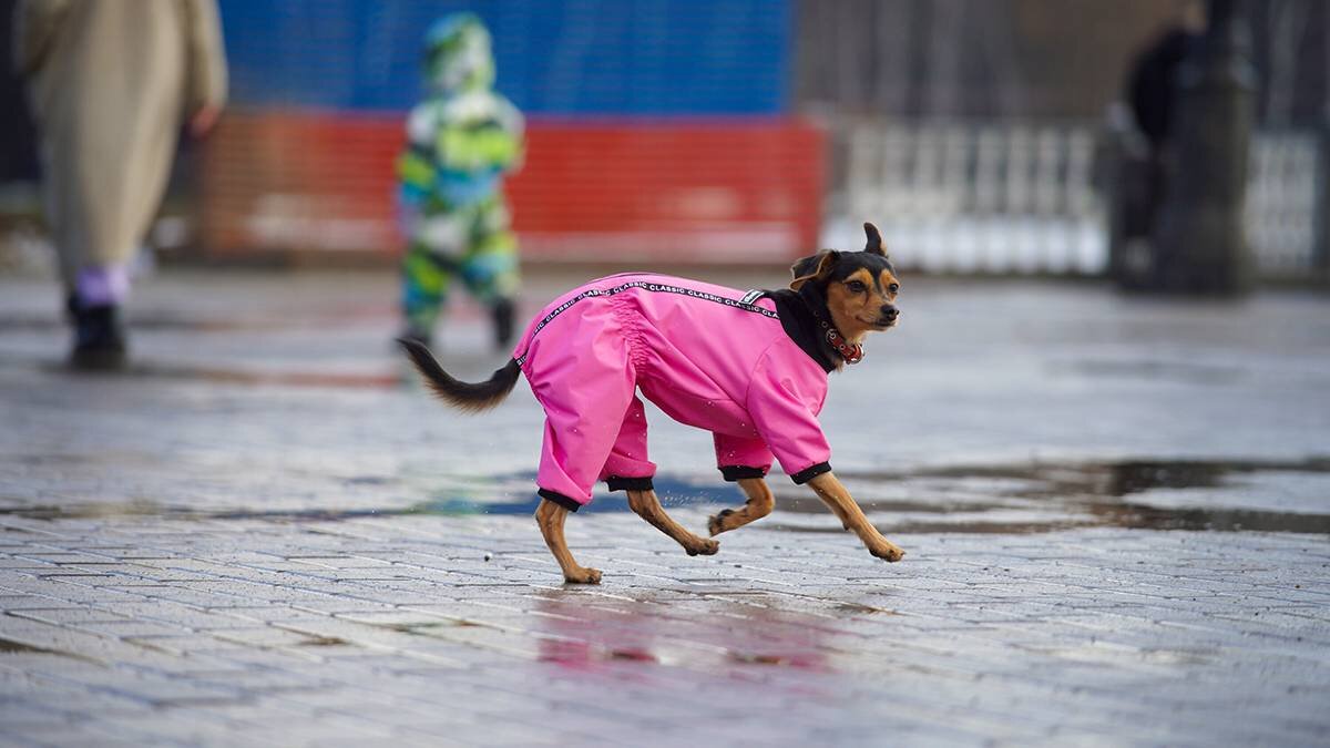    Фото: Александр Авилов / АГН Москва