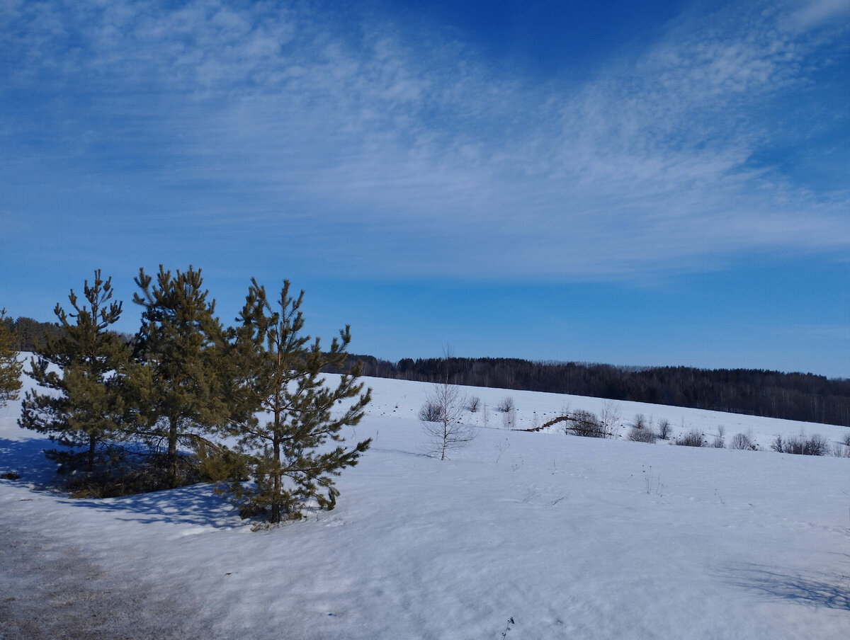 Сегодня за городом. Фото автора канала