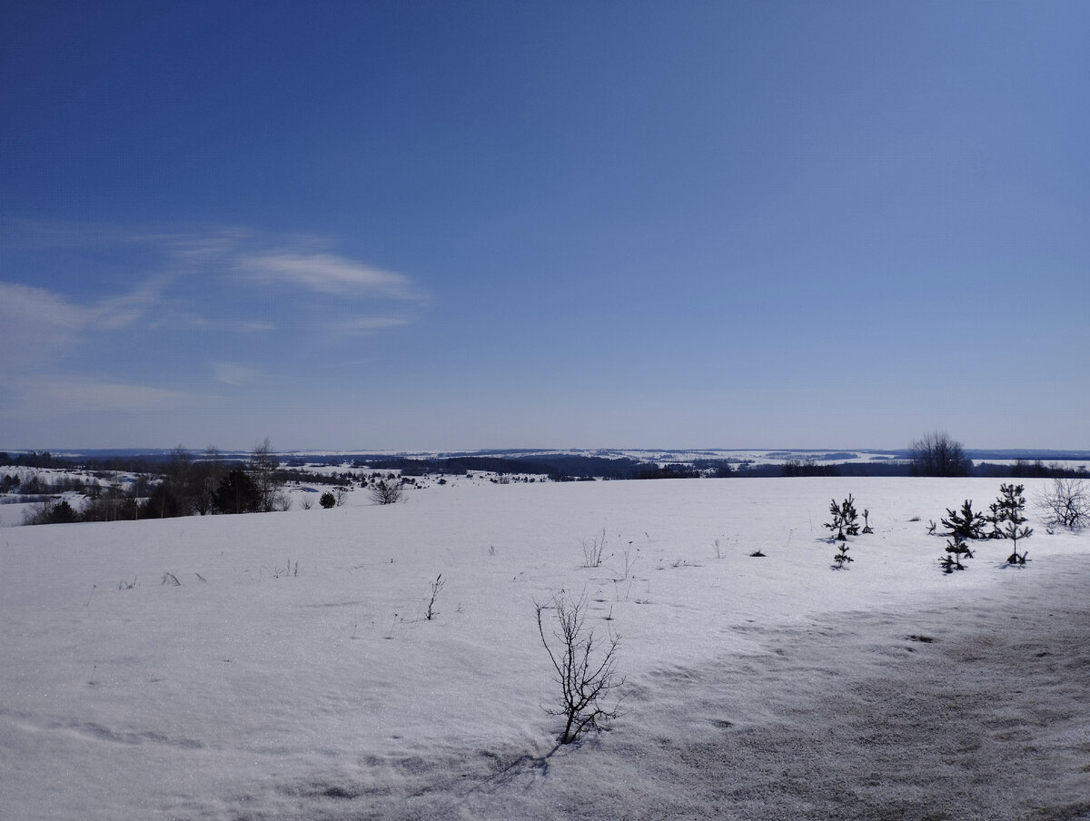 Снег за городом. Сегодня. Фото автора канала