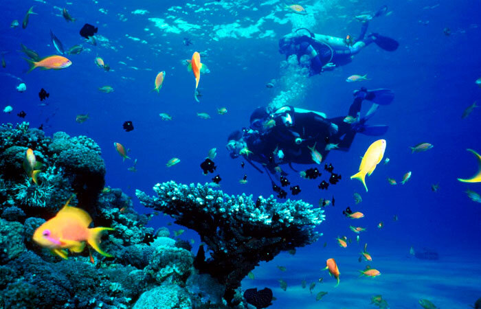 Погружение с аквалангом в Фетхие. Дайвинг в Олюдениз