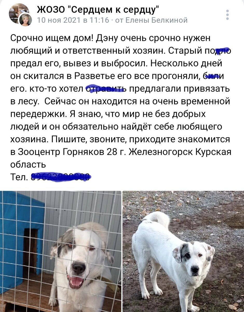 Пост от женщины, которая сначала взяла заботу о Дэне на себя