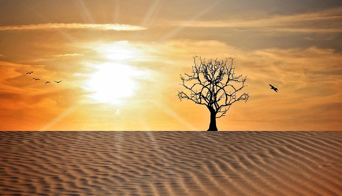 Фото взято с www.piqsels.com