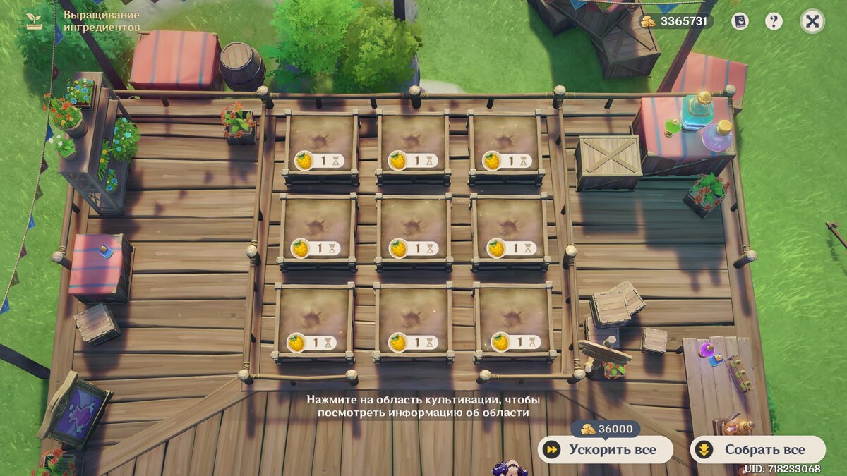 Ягодная ферма