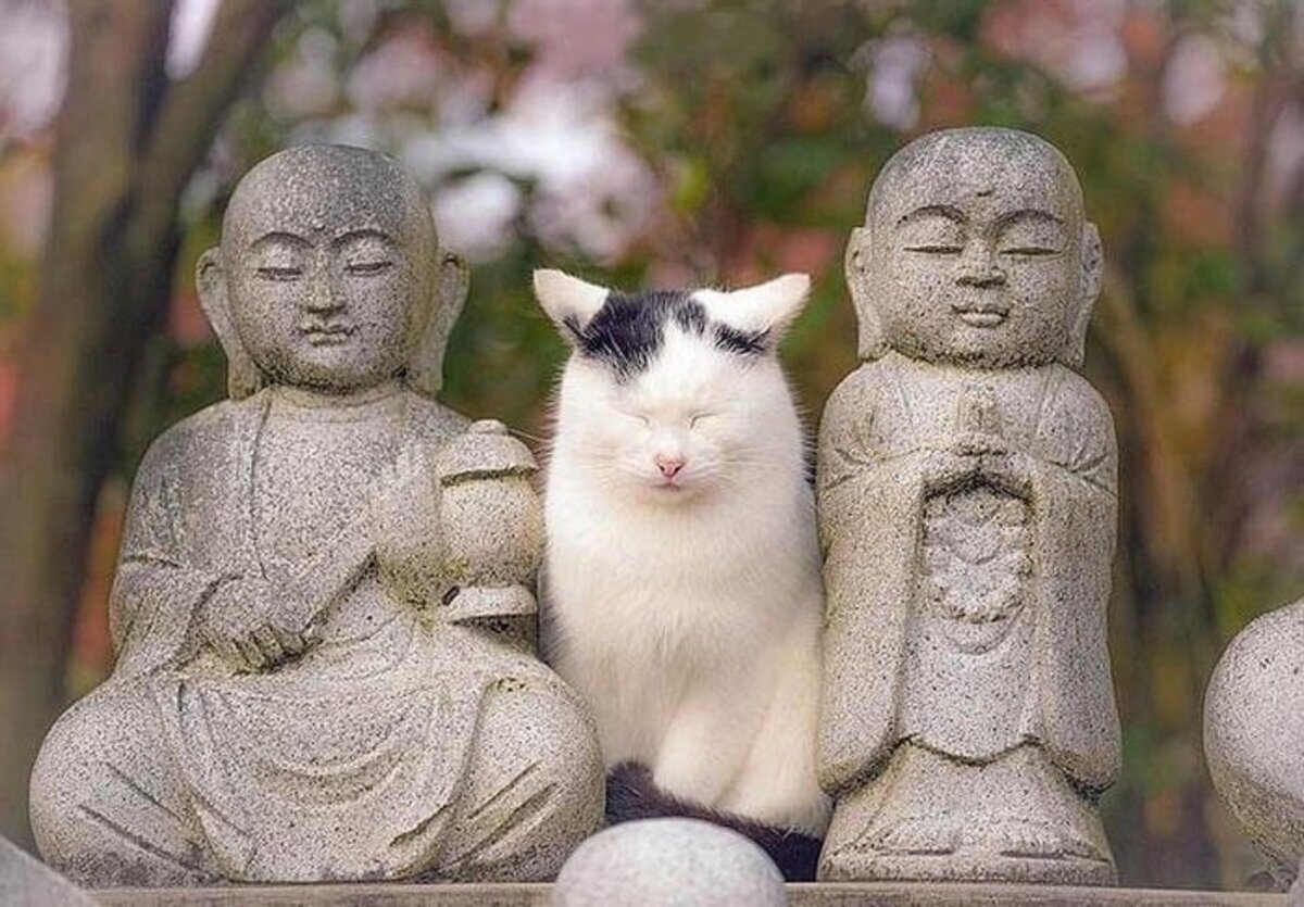 Источник: rutubelist.ru