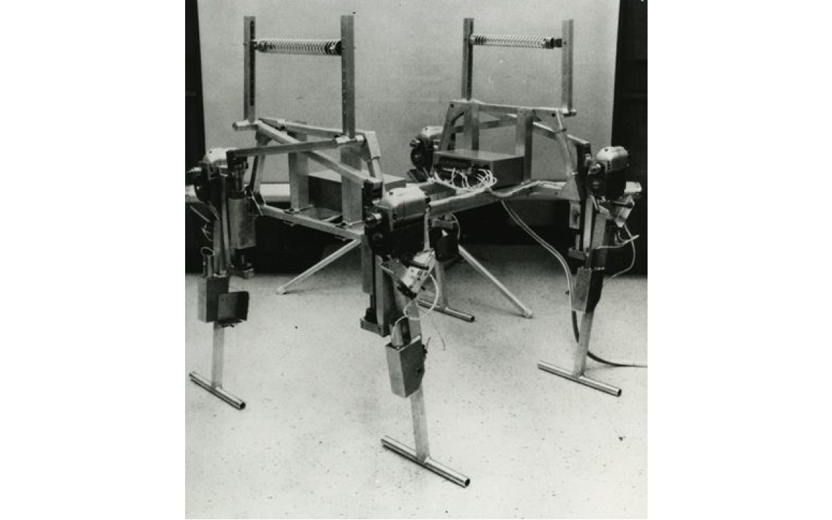 cyberneticzoo.com📷Phony Pony