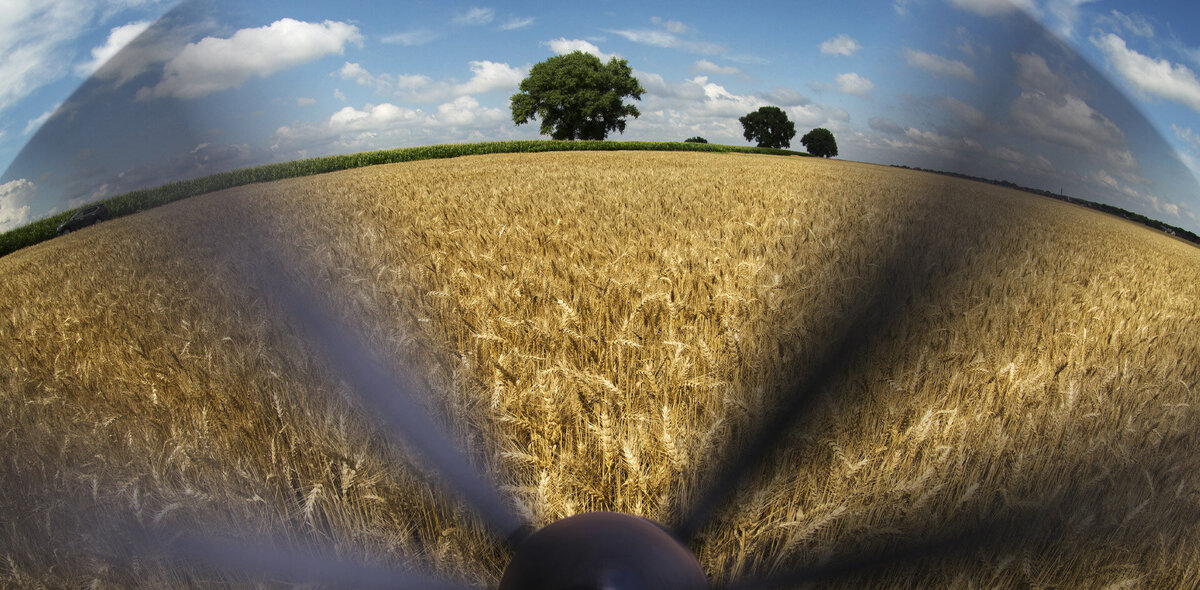 Фото: Николай Гынгазов/ТАСС. Коллаж: Анна Бабич