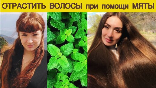 Мята☘️ - ускорит рост волос и остановит выпадение. Как отрастить волосы. Средство для роста волос.