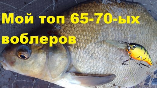 Мой топ 65-70 -х воблеров