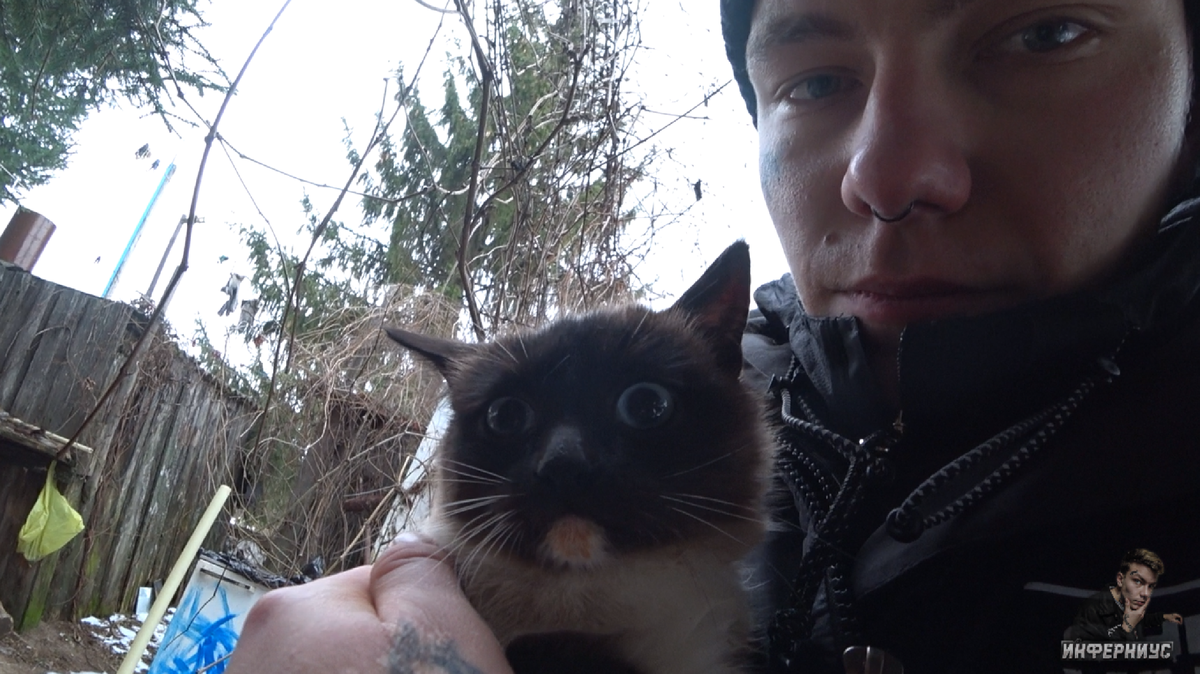 Котенок в мертвой деревне 