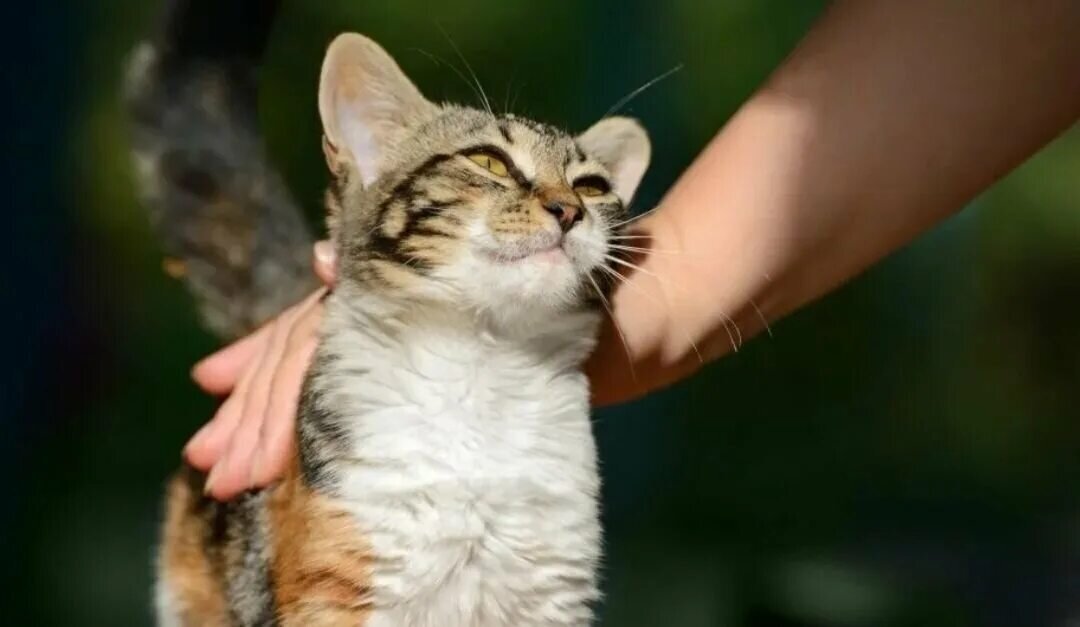 фото взято из открытого источника интернета 