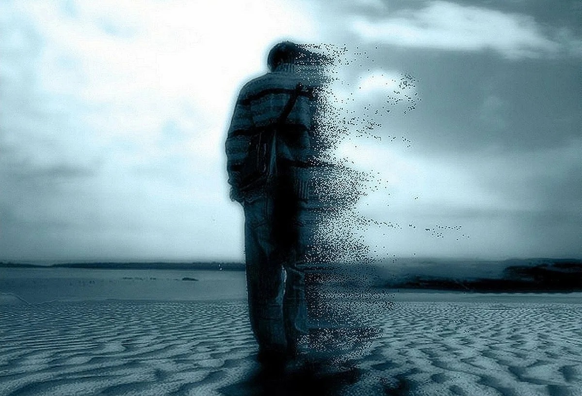 Яндекс Картинки