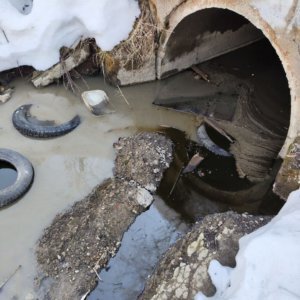    Фото: Госинспекция по экологии Пермского края